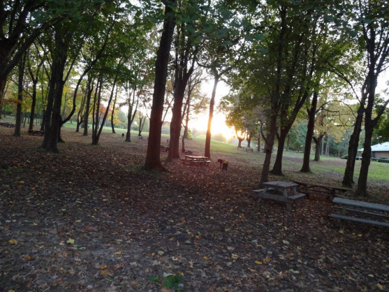 18389_10151283922155519_1030244195_n.jpg