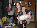 Thumbnail for version as of 17:35, 21 April 2010